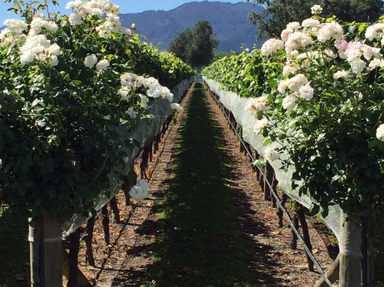 Woodbourne酒店住宿-Blackley House B&B