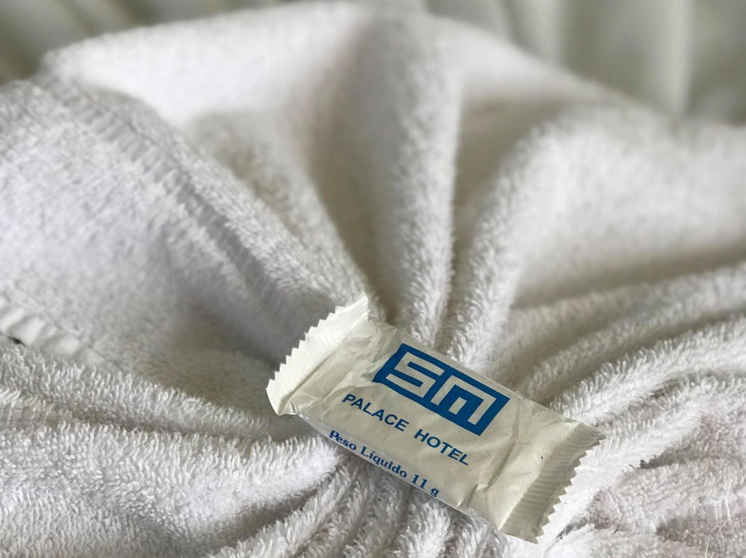 Sm Palace Hotel主图