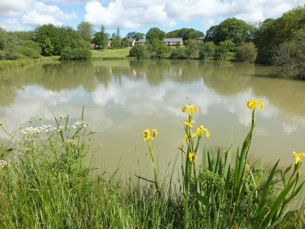 Blagdon Farm