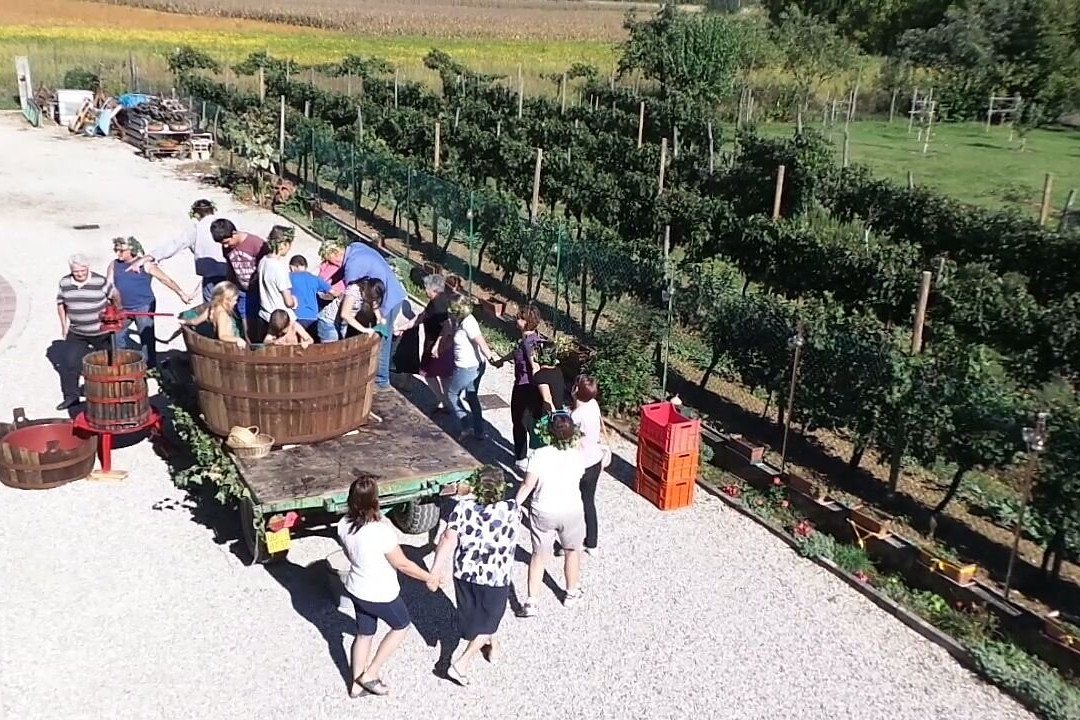 Cantina Vini Lavaroni-Buttrio必去景点