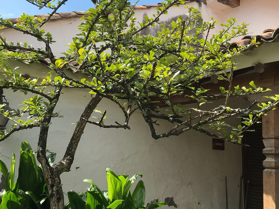 Casa Del Virrey-Cartago必去景点