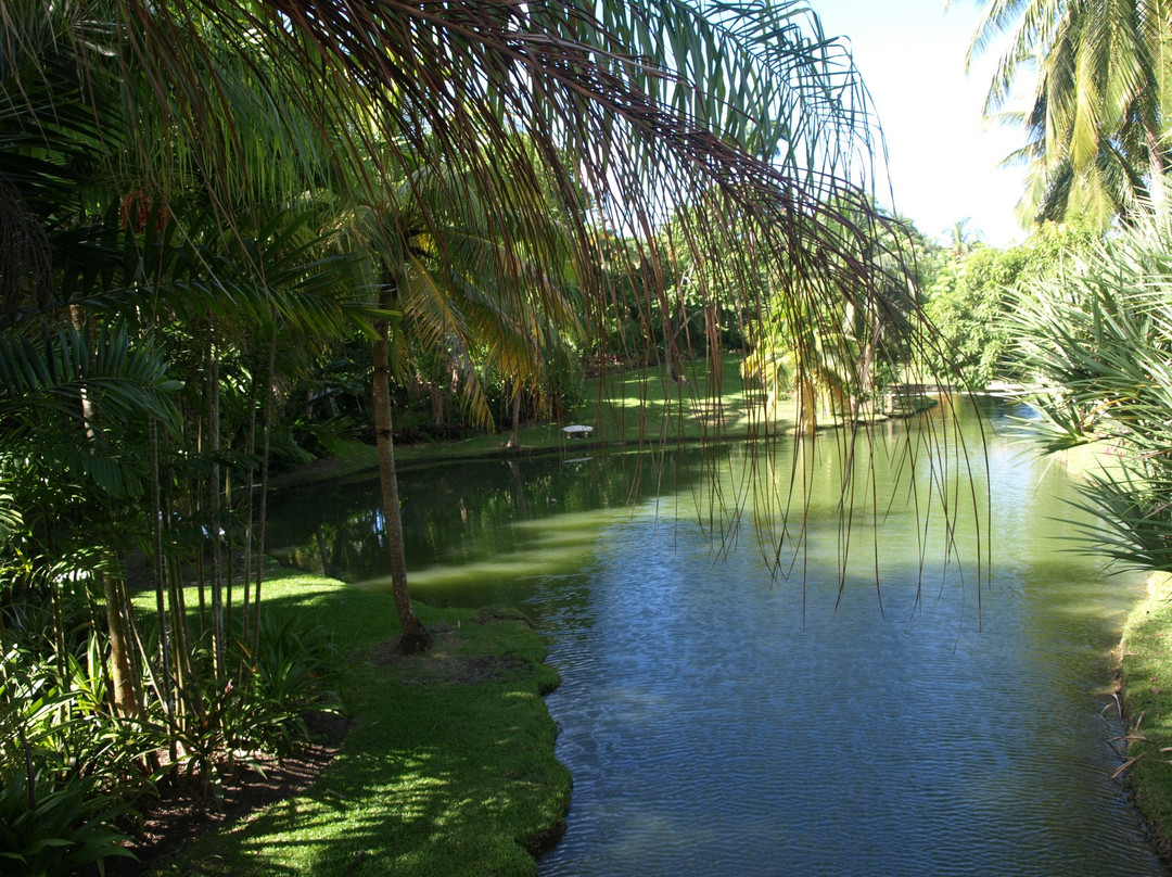 Petrea Garden-布里奇顿必去景点