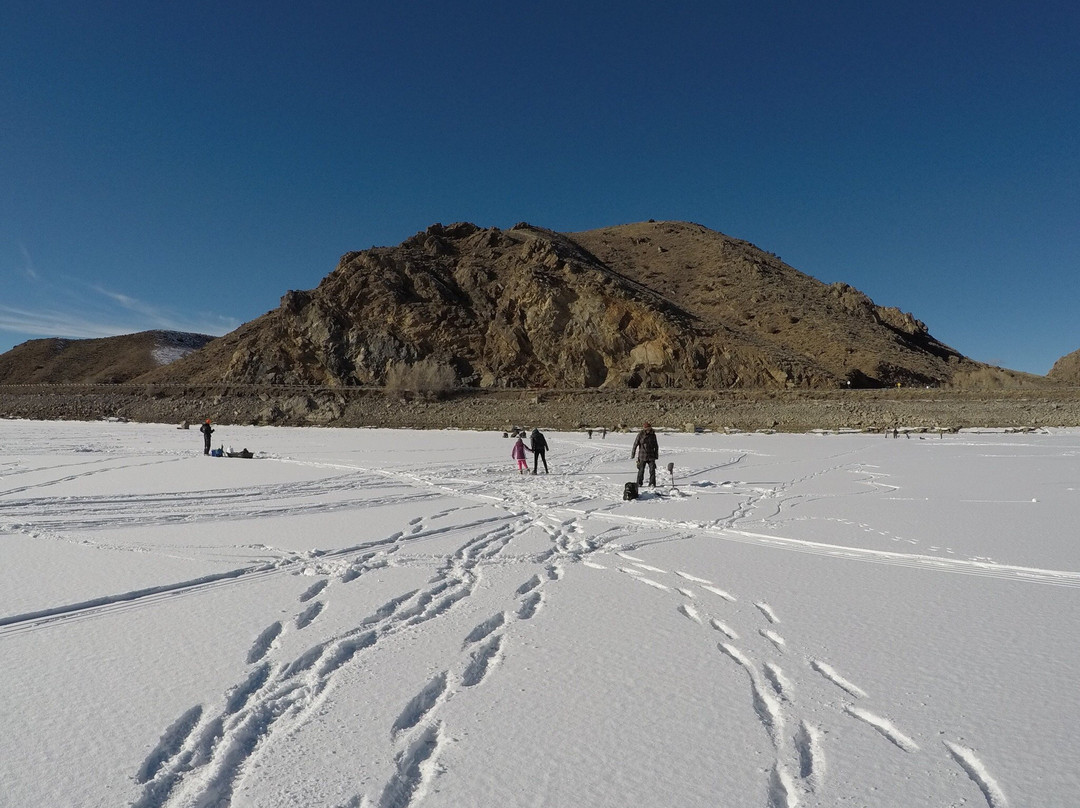 Blue Mesa Fishing景点图片