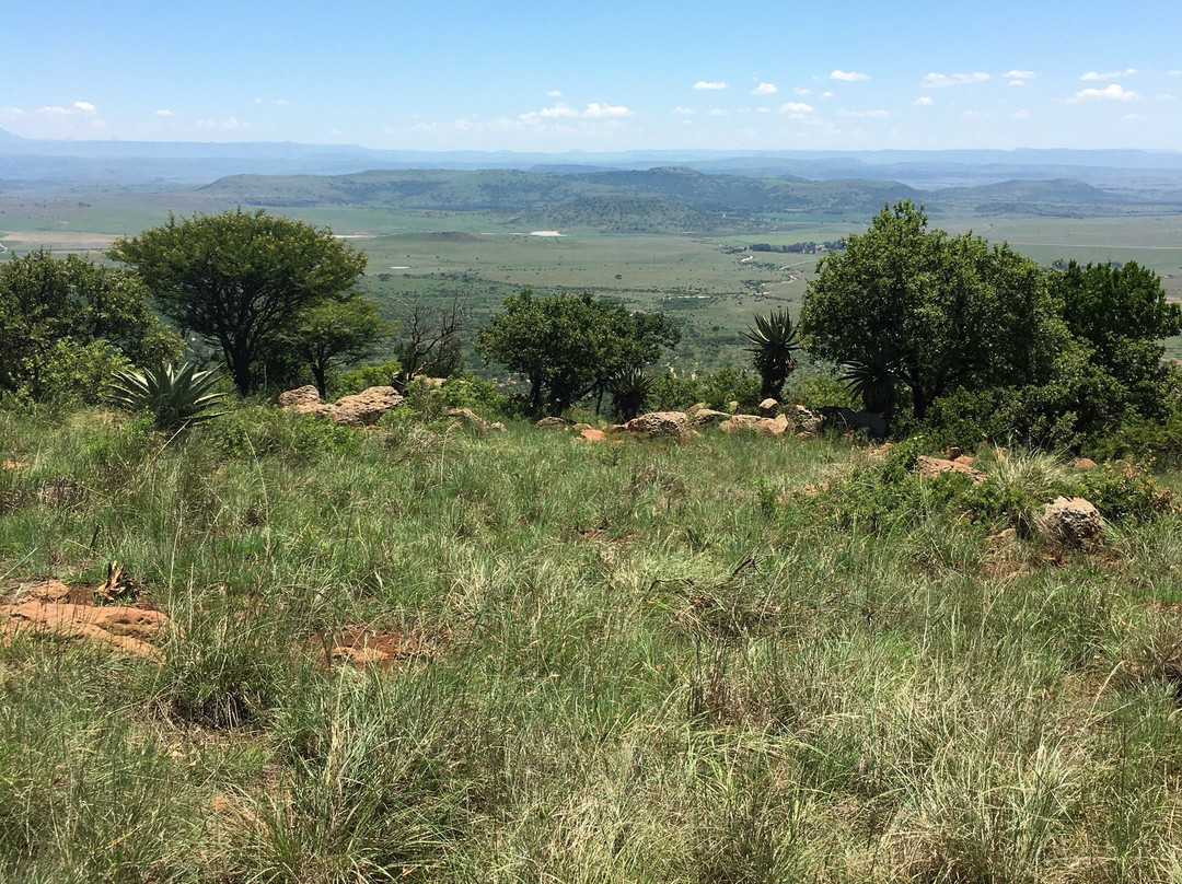 BushBaby Safaris - Day Tours-丹地必去景点