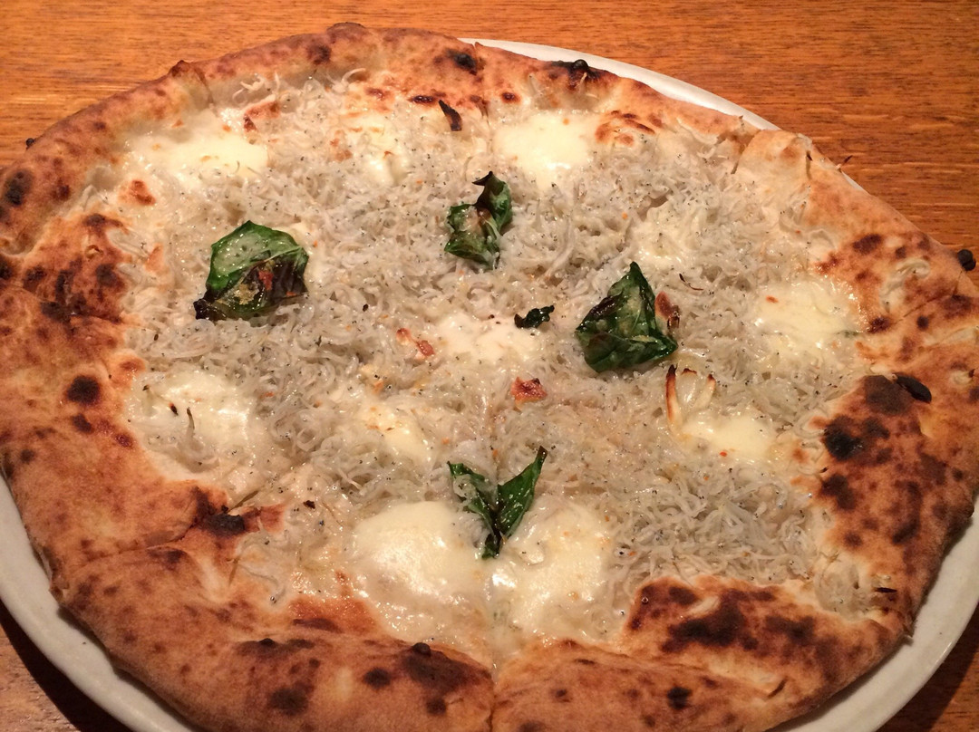 ソロピッツァジンガラ