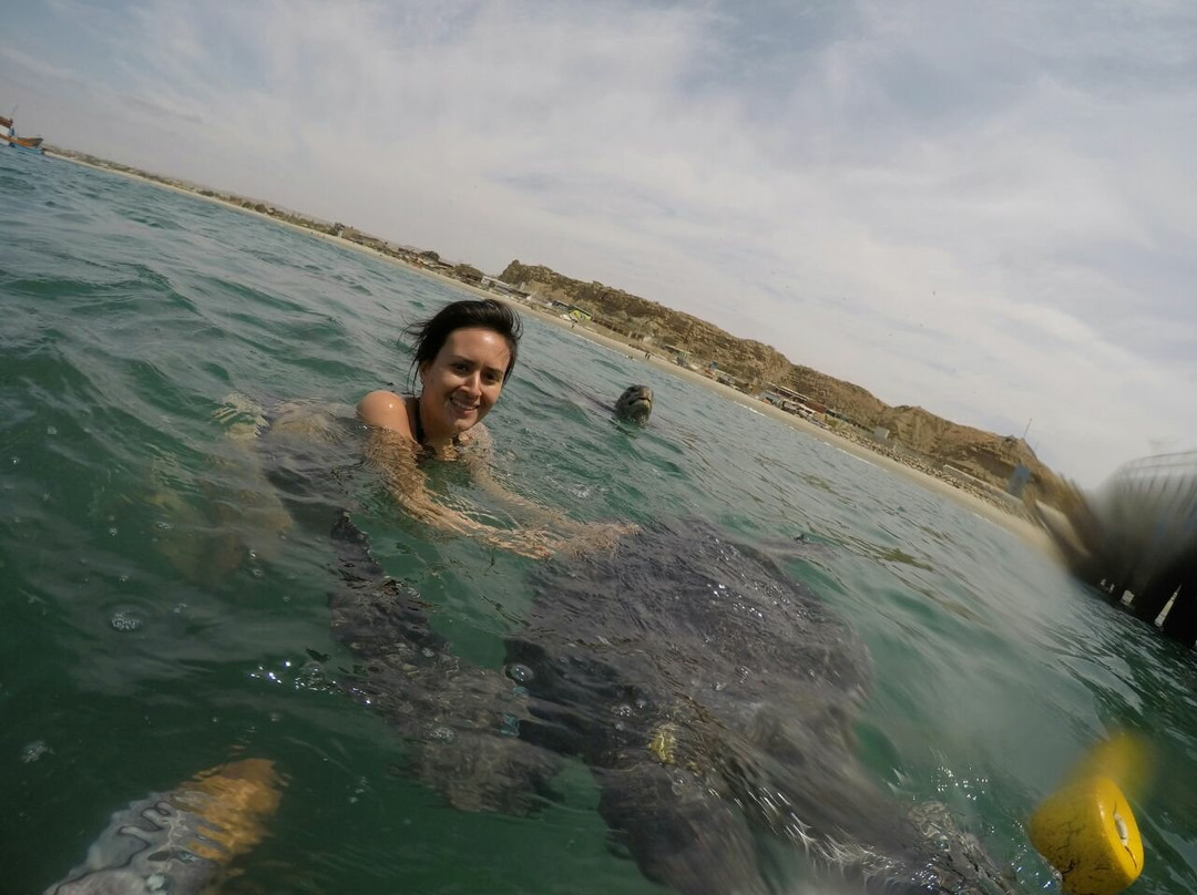 Puerto Velero-Organos必去景点