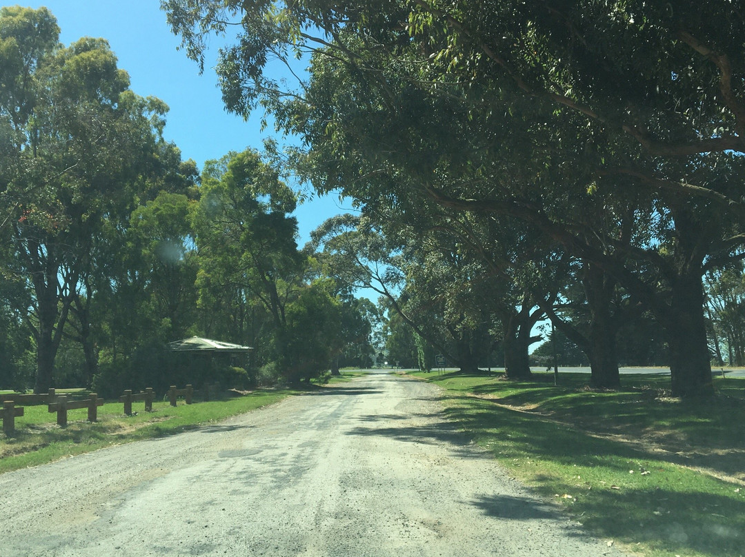 Franklin River Reserve-Toora必去景点