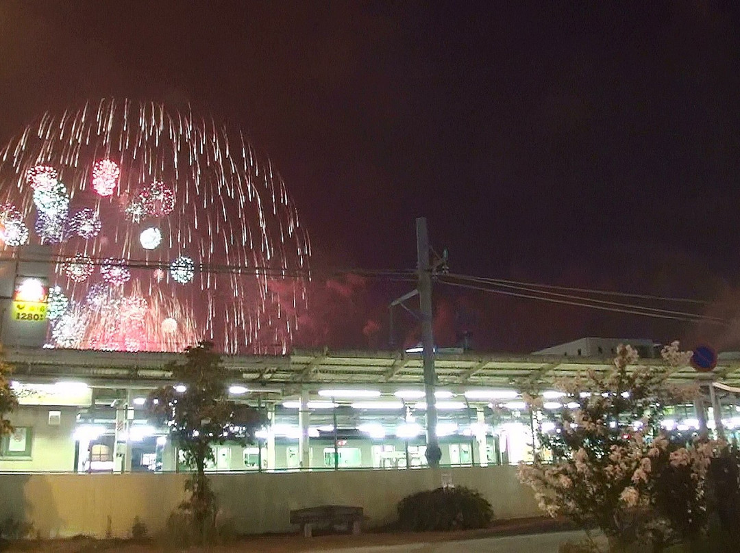Teganuma Fireworks-柏市必去景点