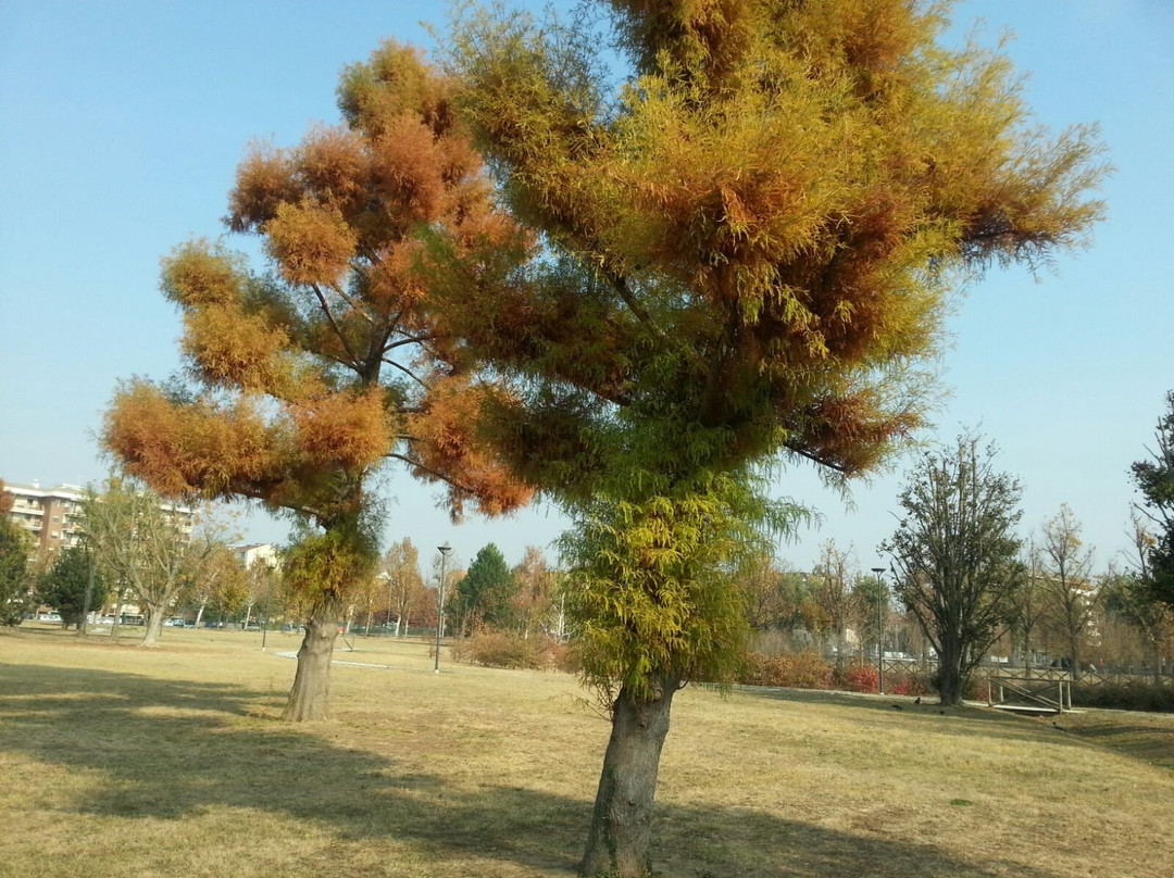 Parco Porporati-Grugliasco必去景点