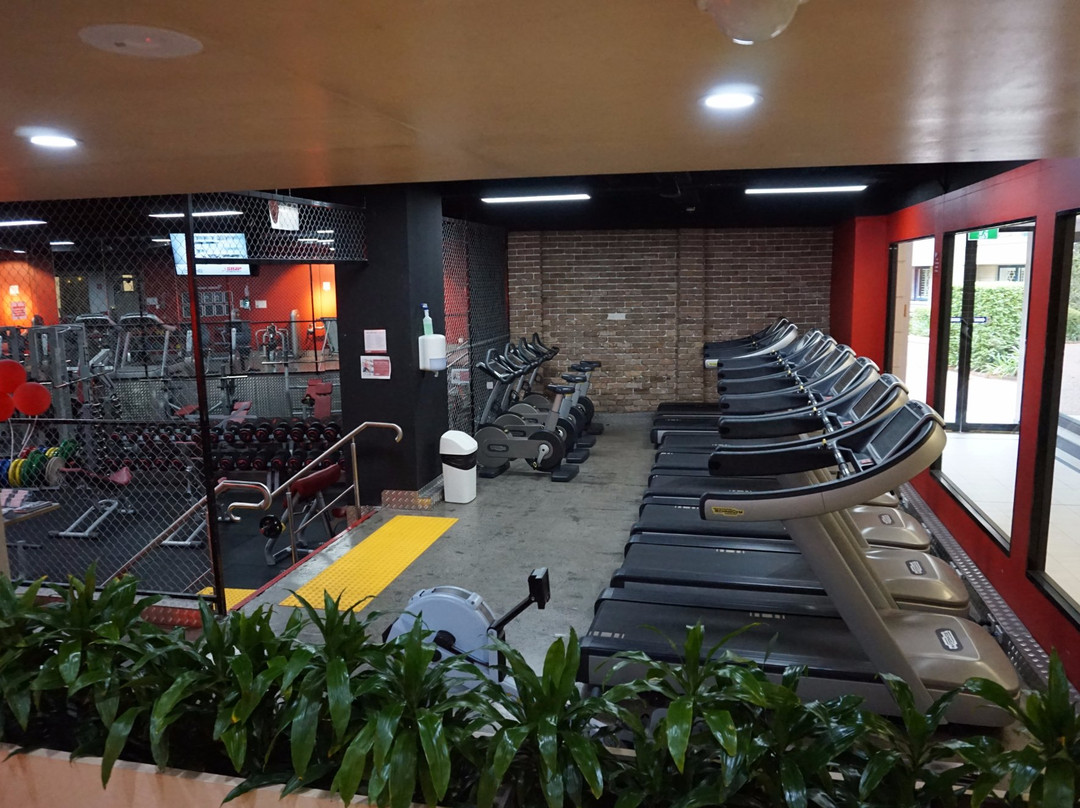 Snap Fitness Double Bay景点图片