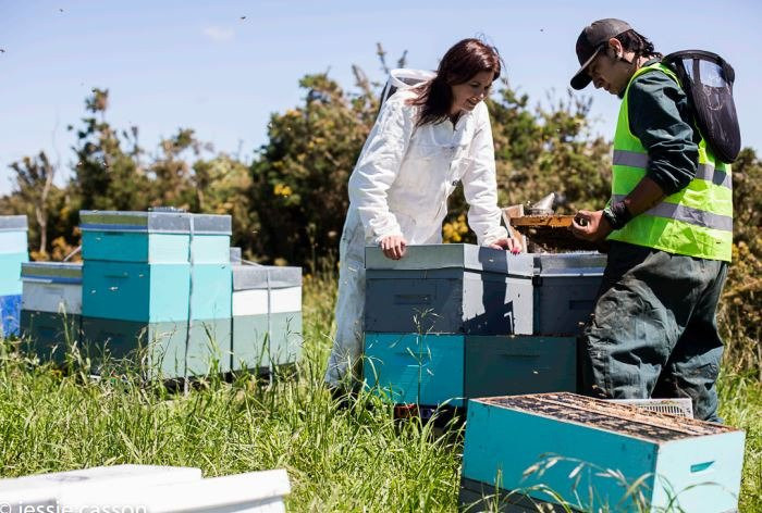 Mana Kai Honey-Awanui必去景点