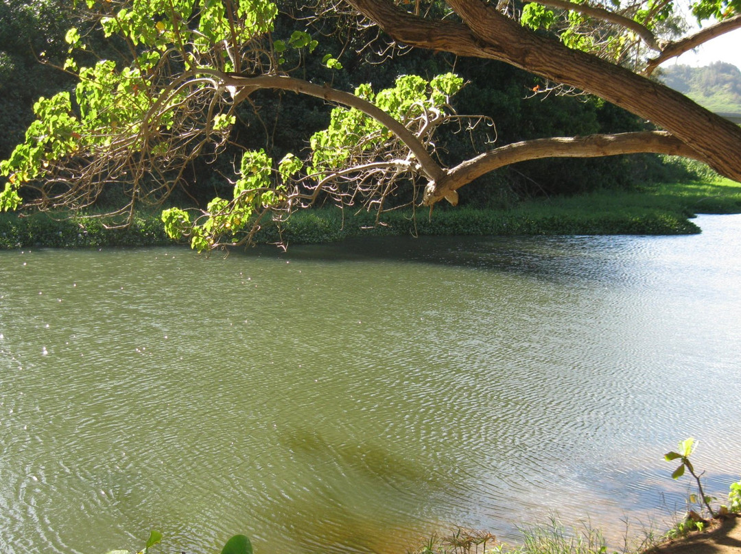 Hanamaulu Beach-可爱岛必去景点