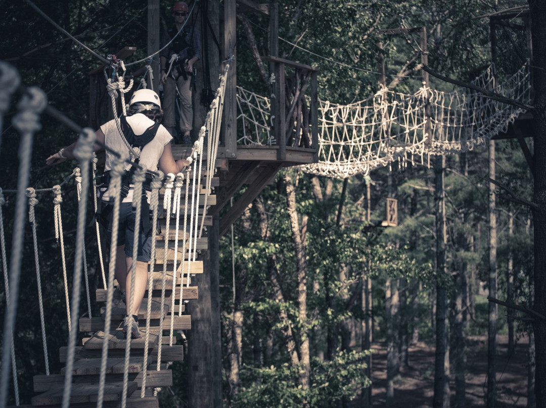 The Beanstalk Journey Zipline-Morganton必去景点