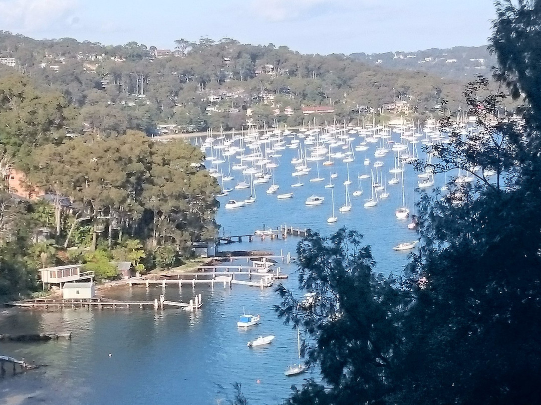 Clareville旅游攻略图片