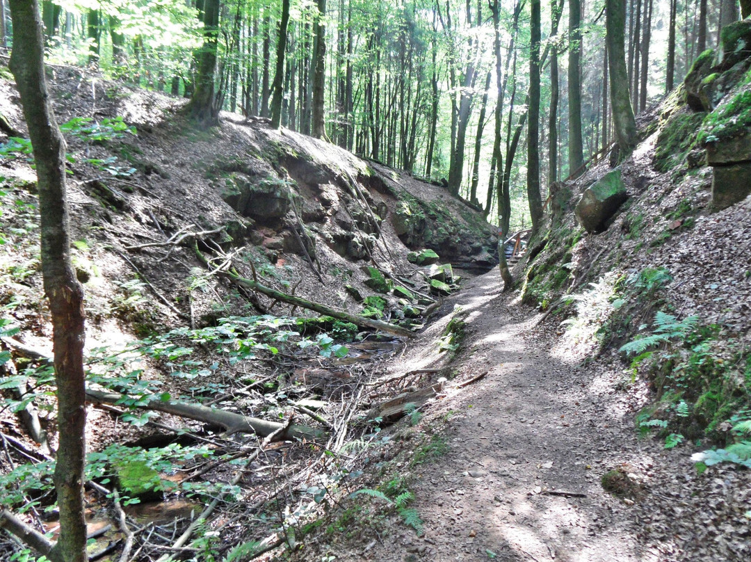 Elendsklamm-Bruchmuehlbach-Miesau必去景点