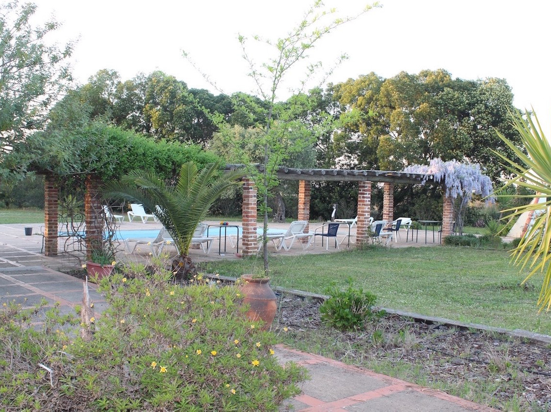 Antara Yoga and Wellness Retreat