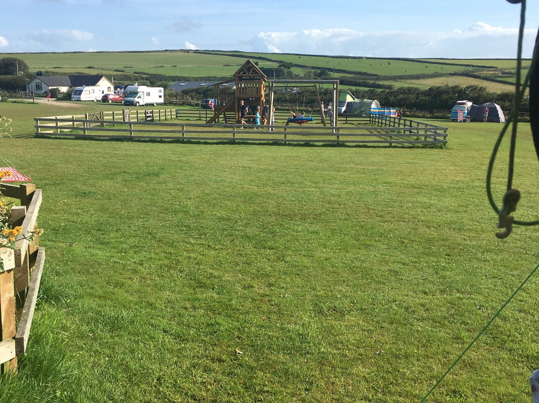 Little Roadway Farm Campsite