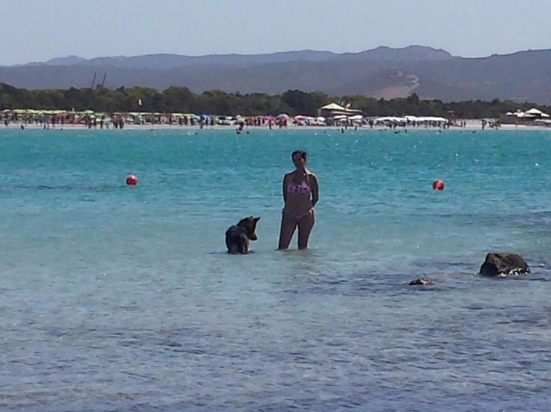 Spiaggia Animal Frendly Porto Pino-Carbonia必去景点