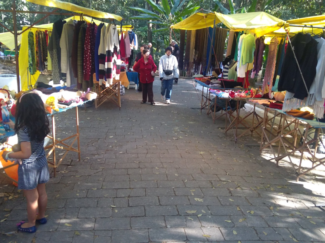 Bosque Zequinha de Abreu-阿瓜斯迪林多亚必去景点