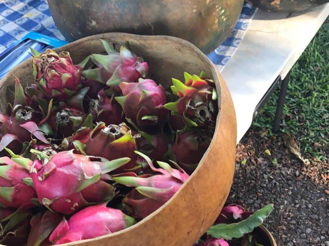 Hawi Farmers Market-哈威必去景点