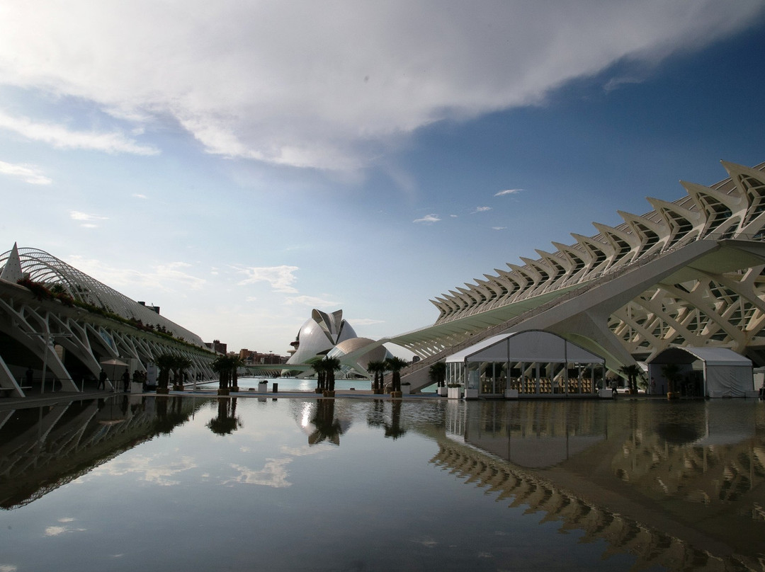 Guida Italiana Valencia景点图片