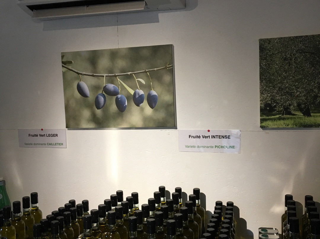 Domaine Stalenq Huile D'Olive景点图片
