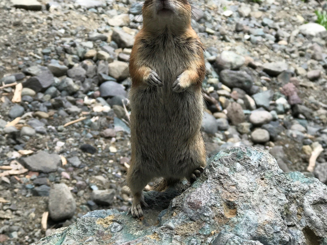 Fourmile Falls Trail-帕戈萨斯普林斯必去景点