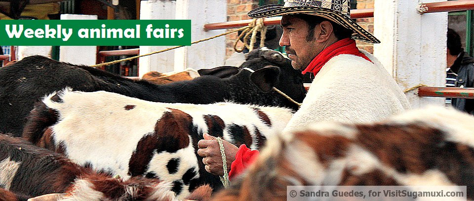 Visit Sugamuxi-Sogamoso必去景点