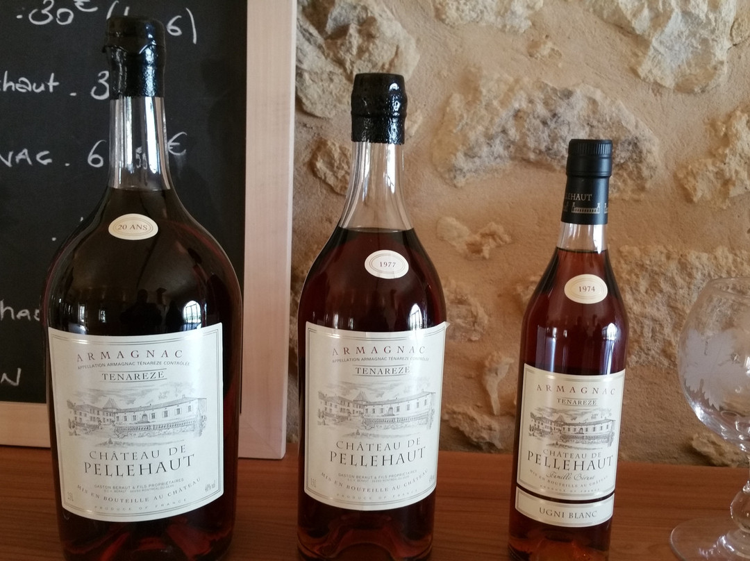 Domaine de Pellehaut景点图片