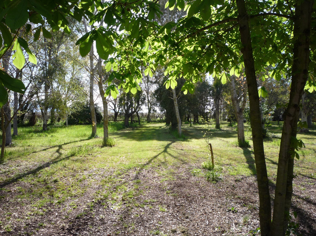 Aprilia酒店住宿-Agriturismo La Giannottola