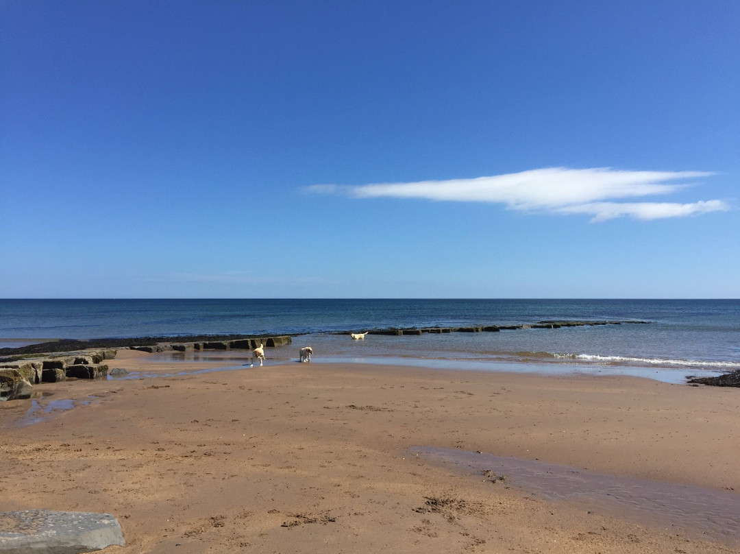 Cocklawburn Beach