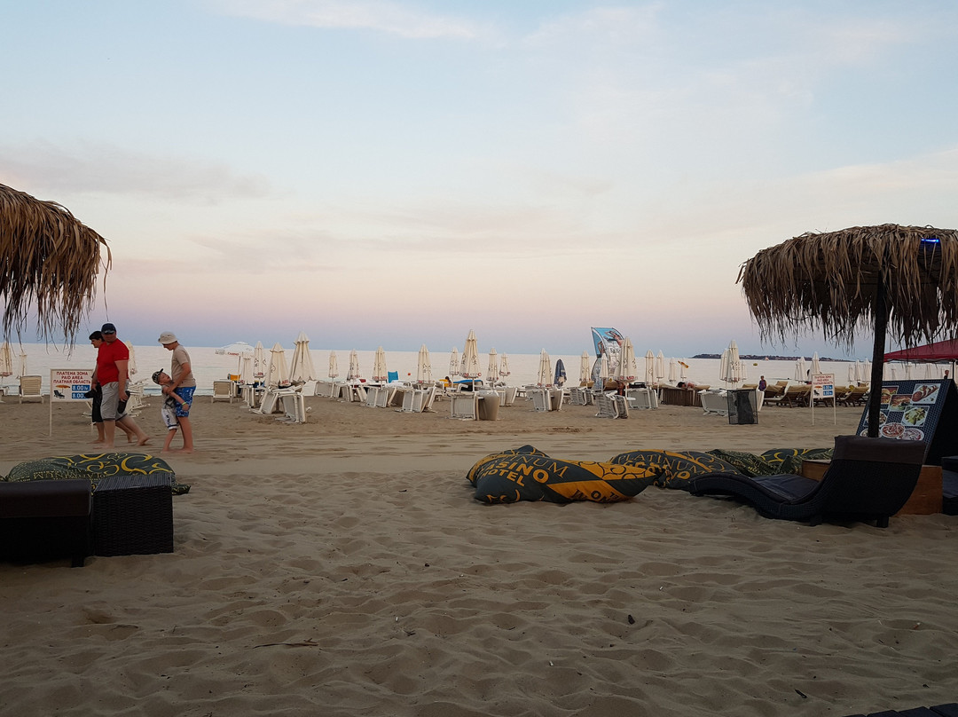 Alibi Beach Bar景点图片
