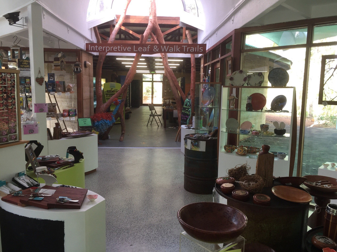 Forest Discovery Centre景点图片