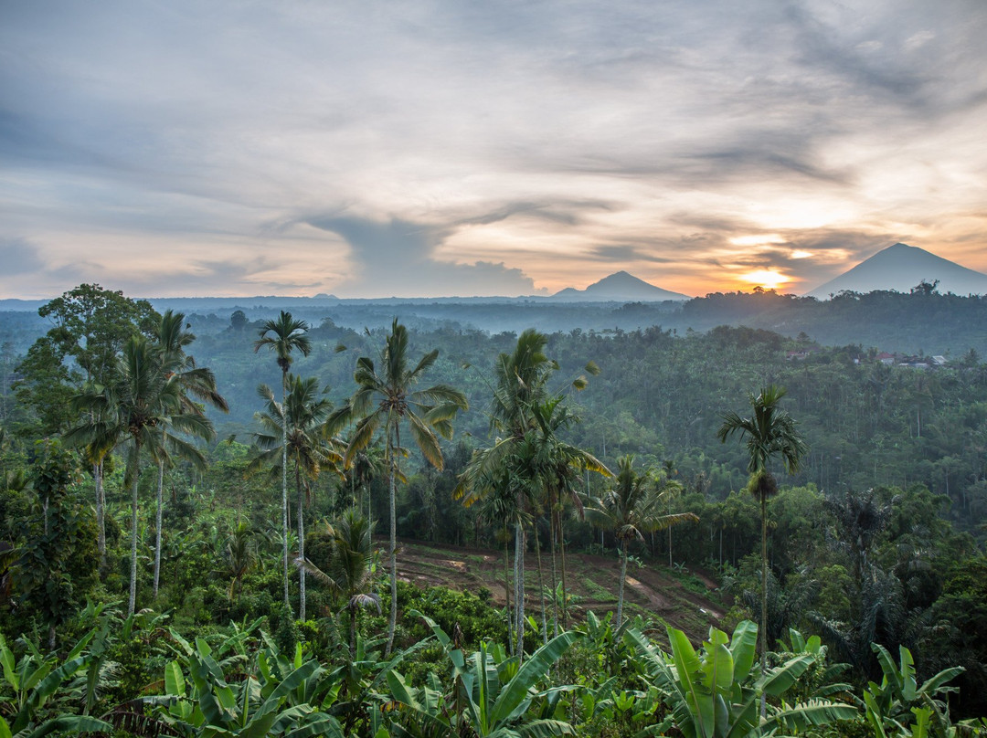 Bali UTV-佩艳艮必去景点
