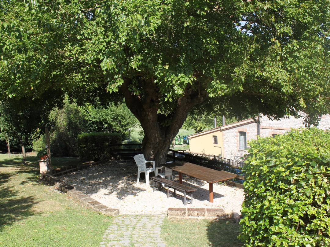 Agriturismo Gli Ippocastani主图
