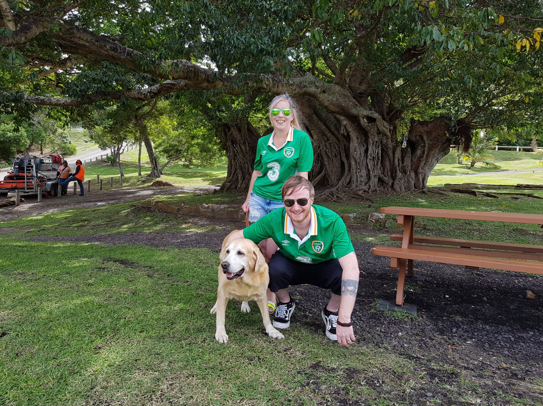 CAB EXPRESS Mr Carel Chambon-努美阿必去景点