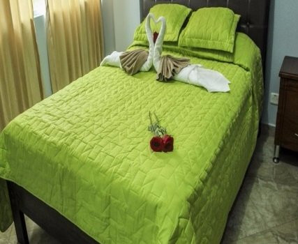 Hotel Amazonico主图