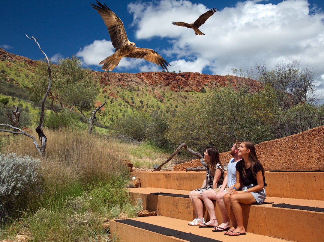 Alice Springs Desert Park景点图片