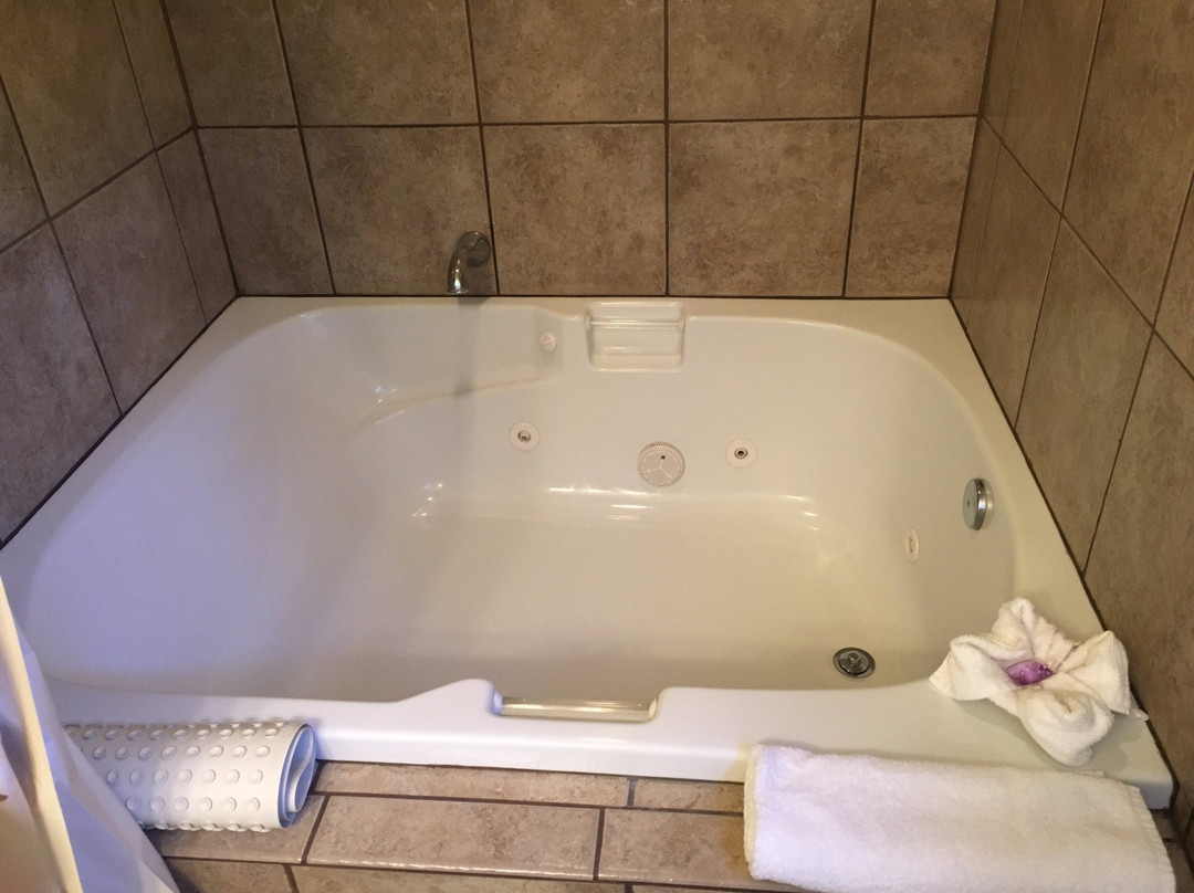 塔霍城酒店住宿-Pepper Tree Inn