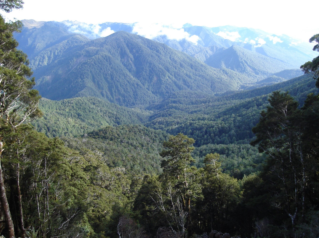 Seddonville旅游攻略图片