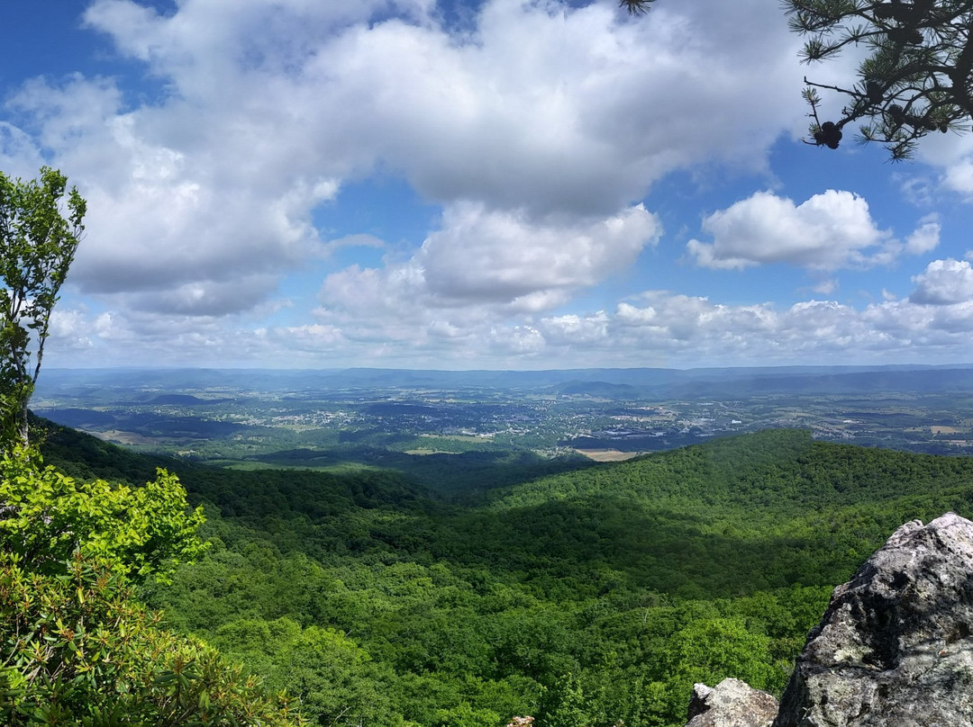 Wytheville Convention & Visitors Bureau-Wytheville必去景点