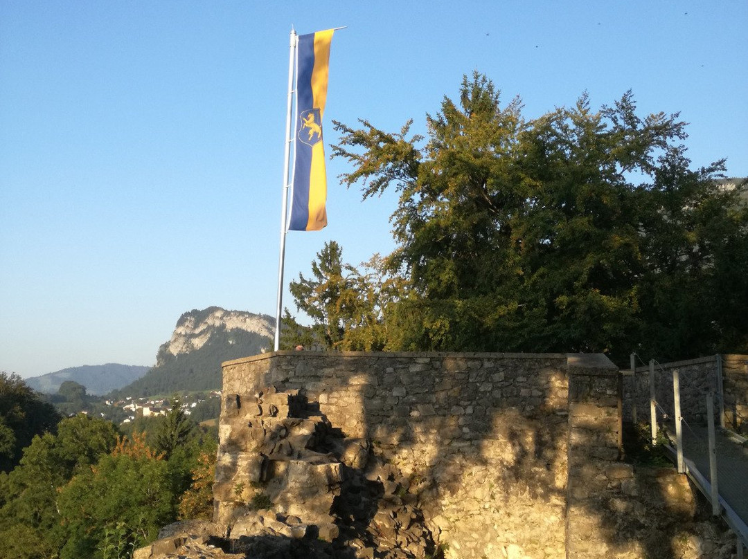 Burgruine Alt-Ems景点图片