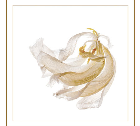 Wild Rose Gallery-Fort Davis必去景点