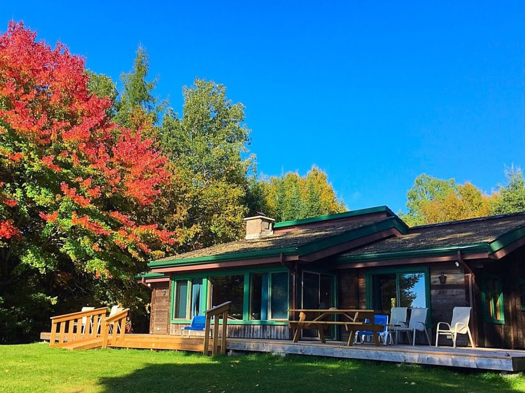 Limberlost Forest and Wildlife Reserve
