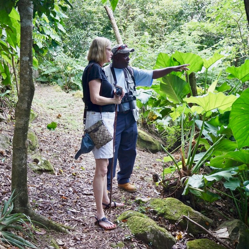 Scriber's Adventure Tours-Little Bay必去景点