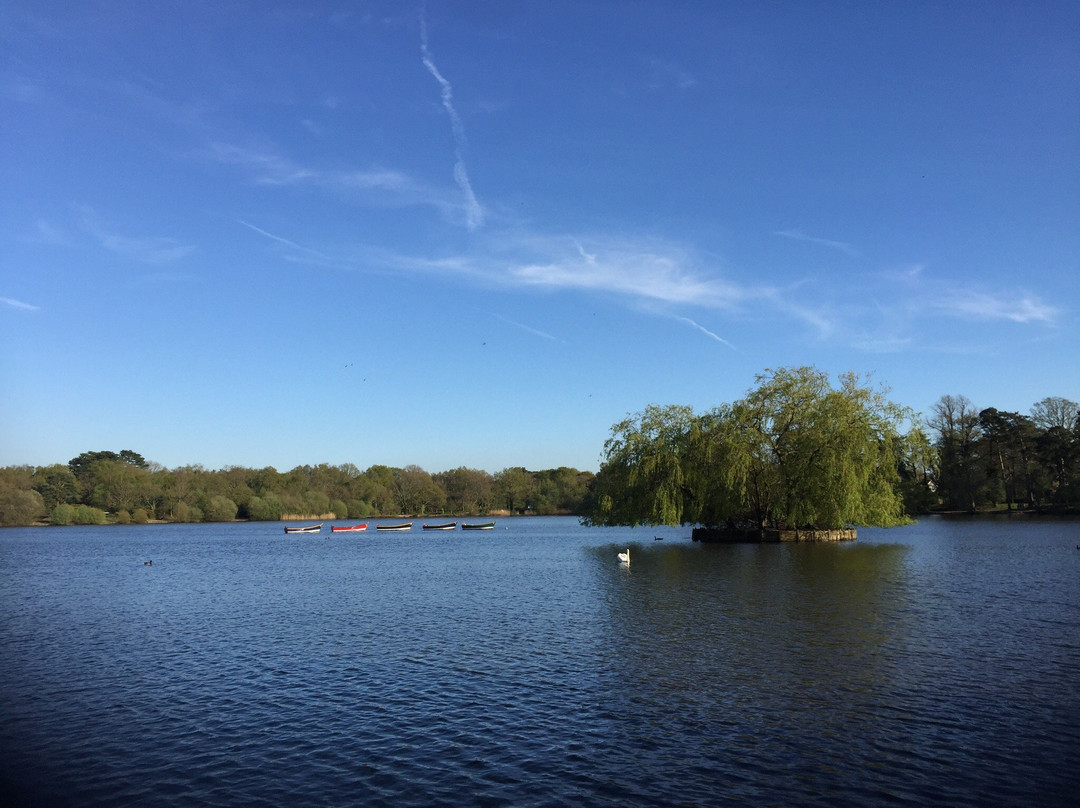 Petersfield Lake景点图片