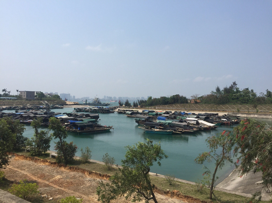 特呈岛景点图片