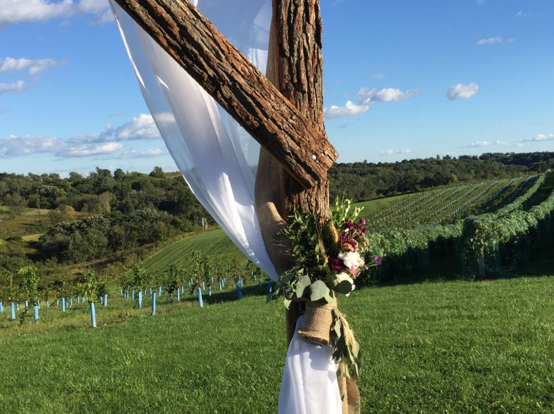 Vernon Vineyards Ltd景点图片