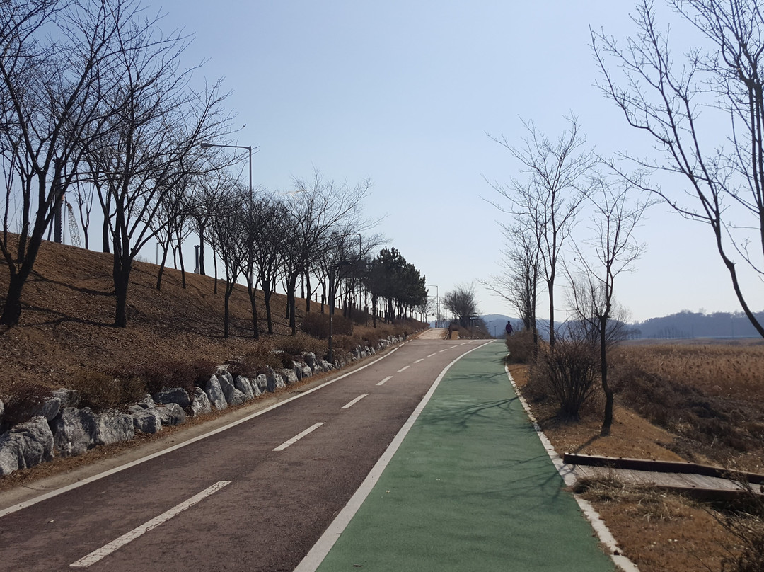 Ansan Reed Wetland-安山市必去景点