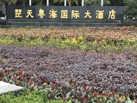 楚天粤海国际大酒店主图